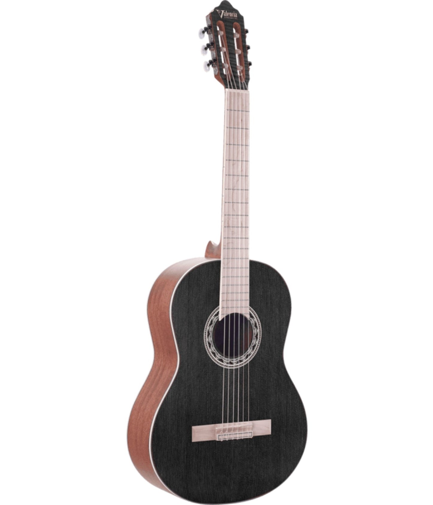 Valencia Guitar 354H