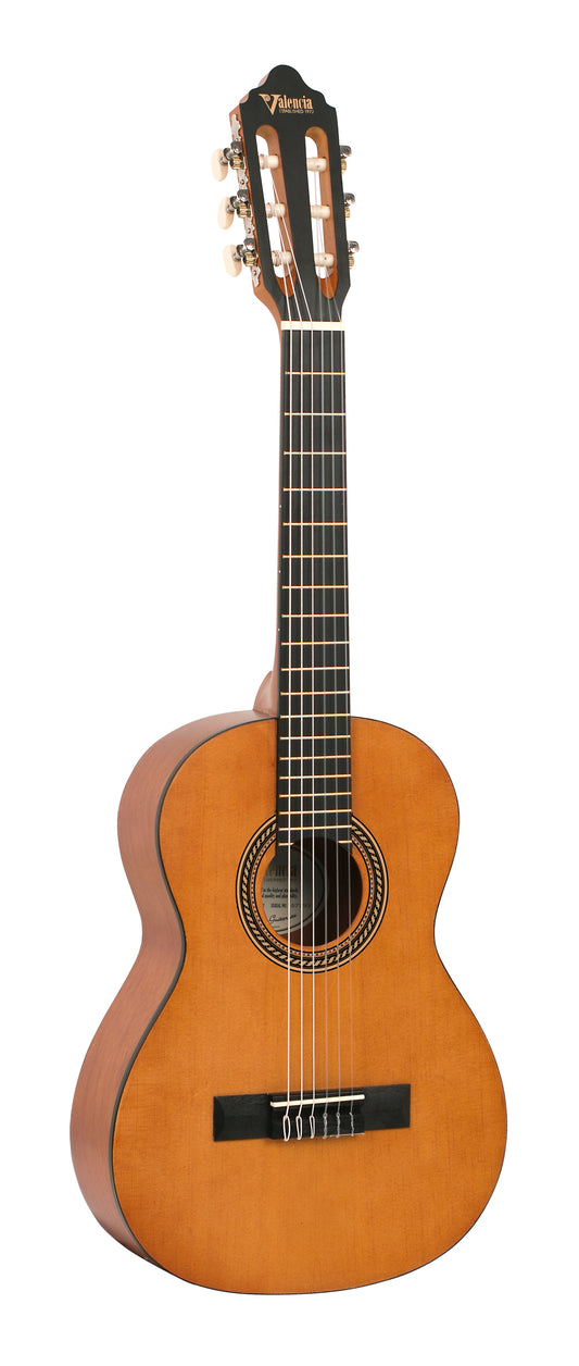 Valencia Guitar 202