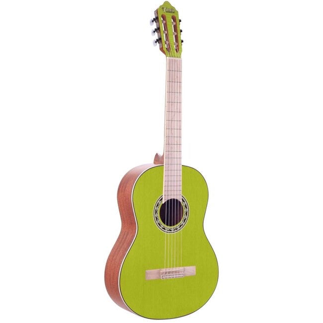 Valencia Guitar 354H