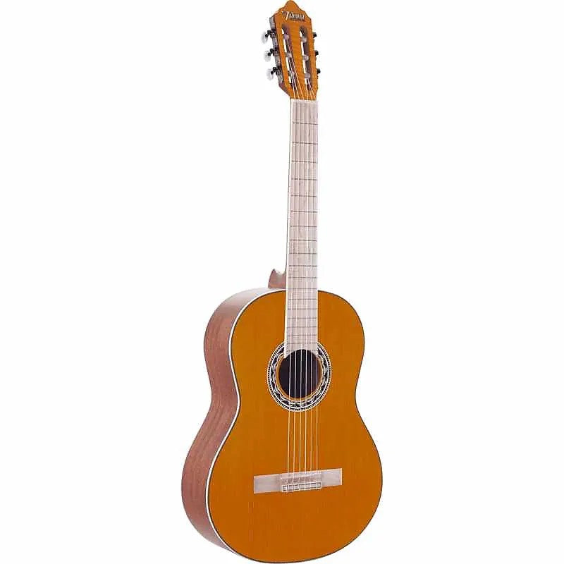 Valencia Guitar 354H