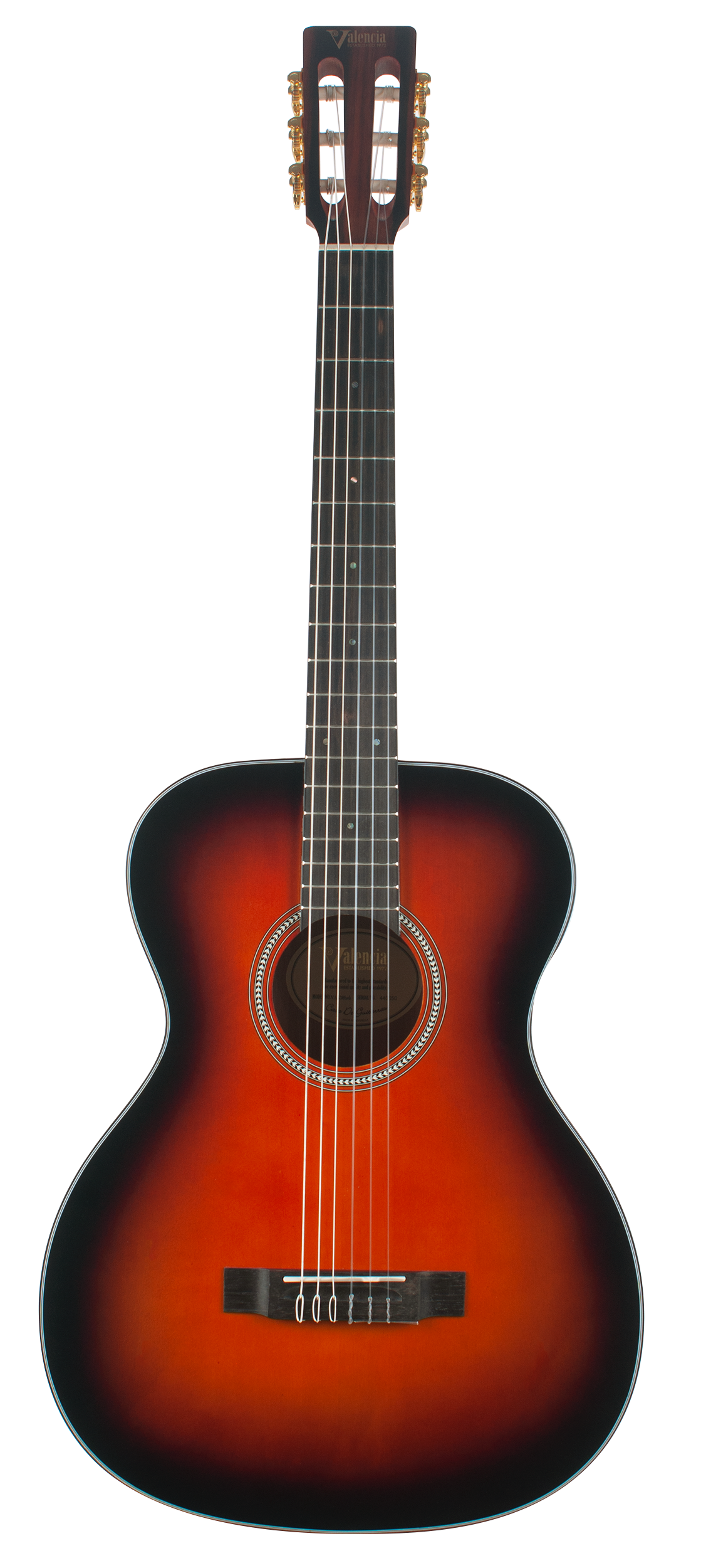 Valencia Guitar 434
