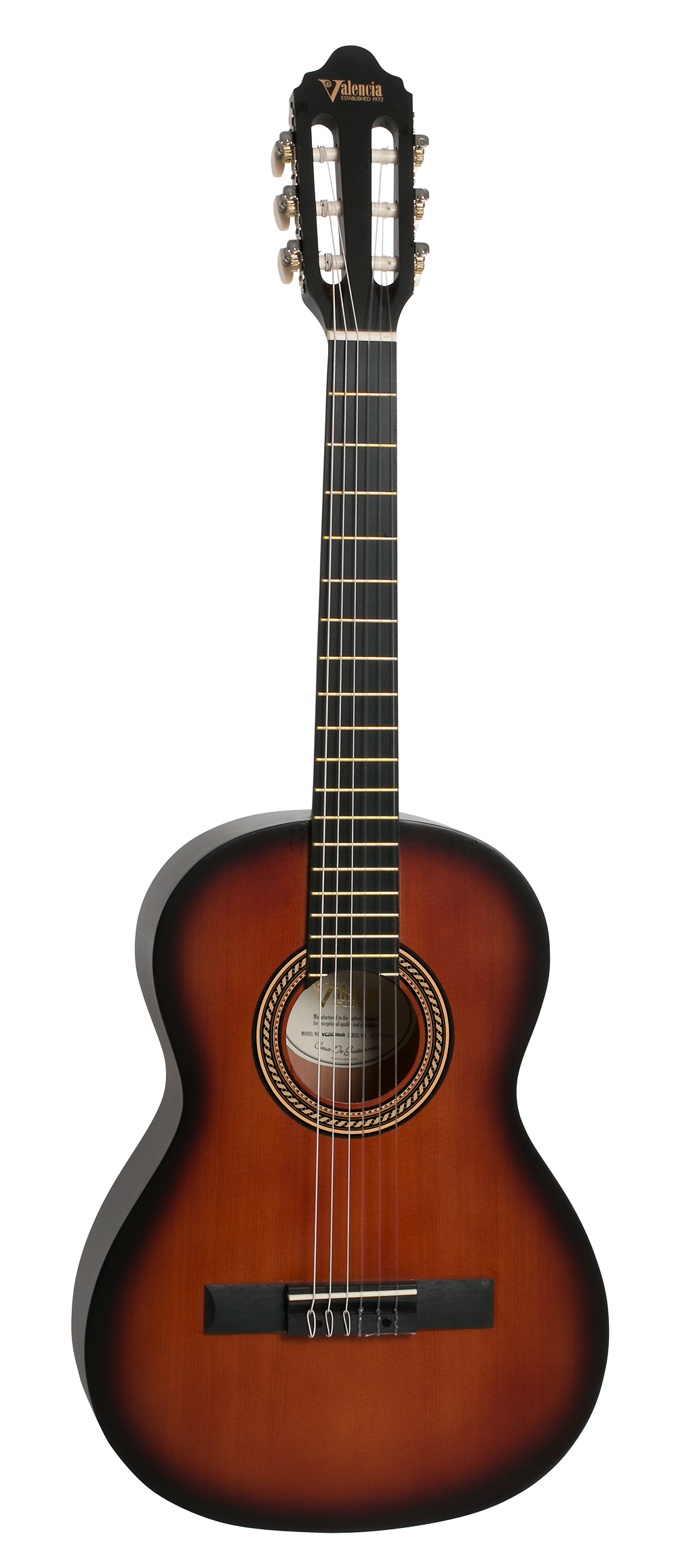 Valencia Guitar 203 Hybrid