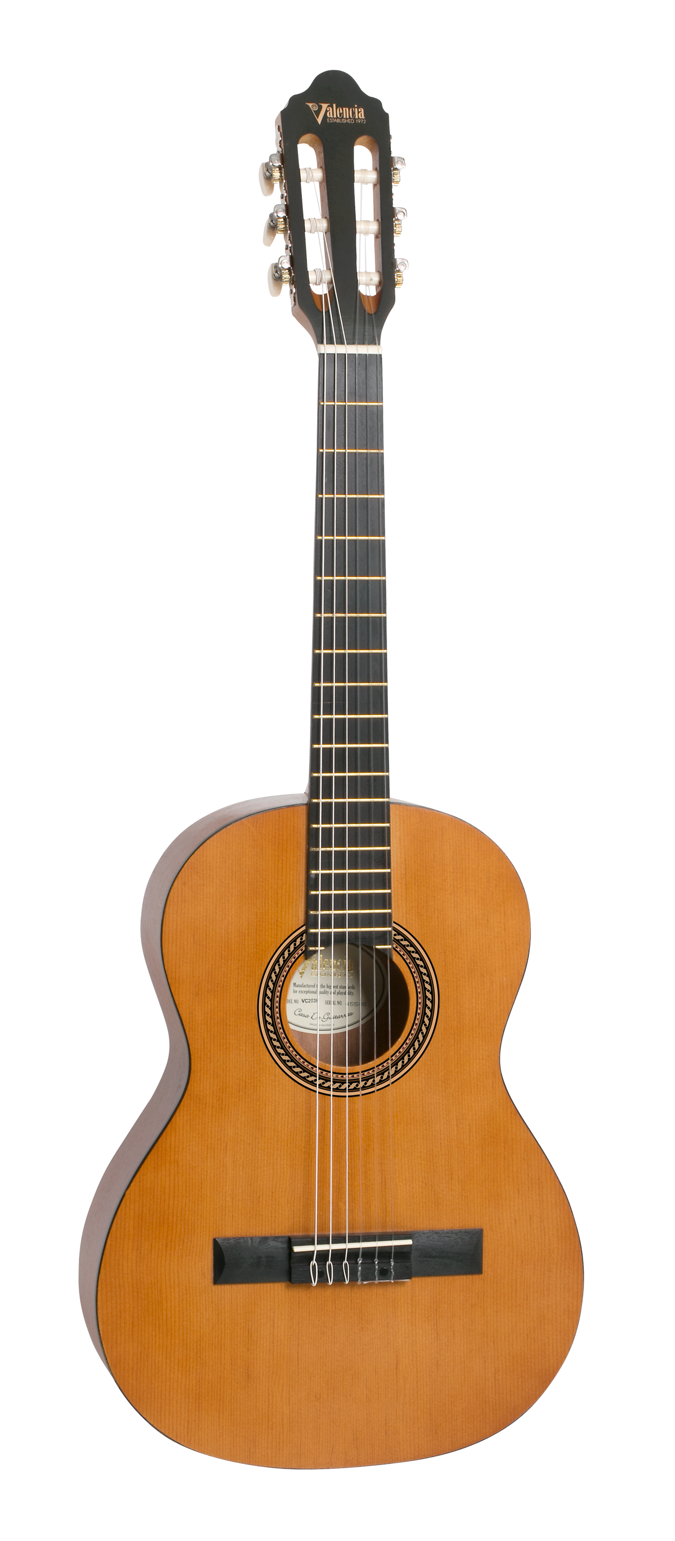 Valencia Guitar 203 Hybrid