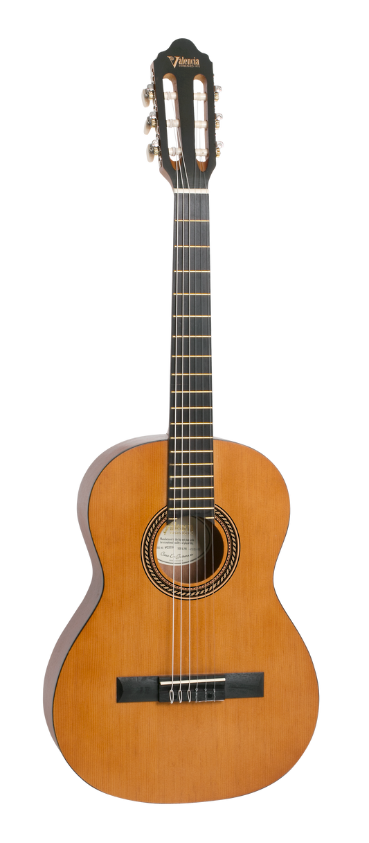 Valencia Guitar 203 Hybrid