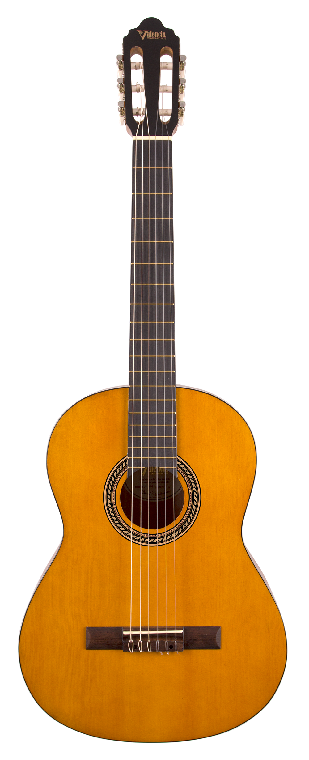 Valencia Guitar 204