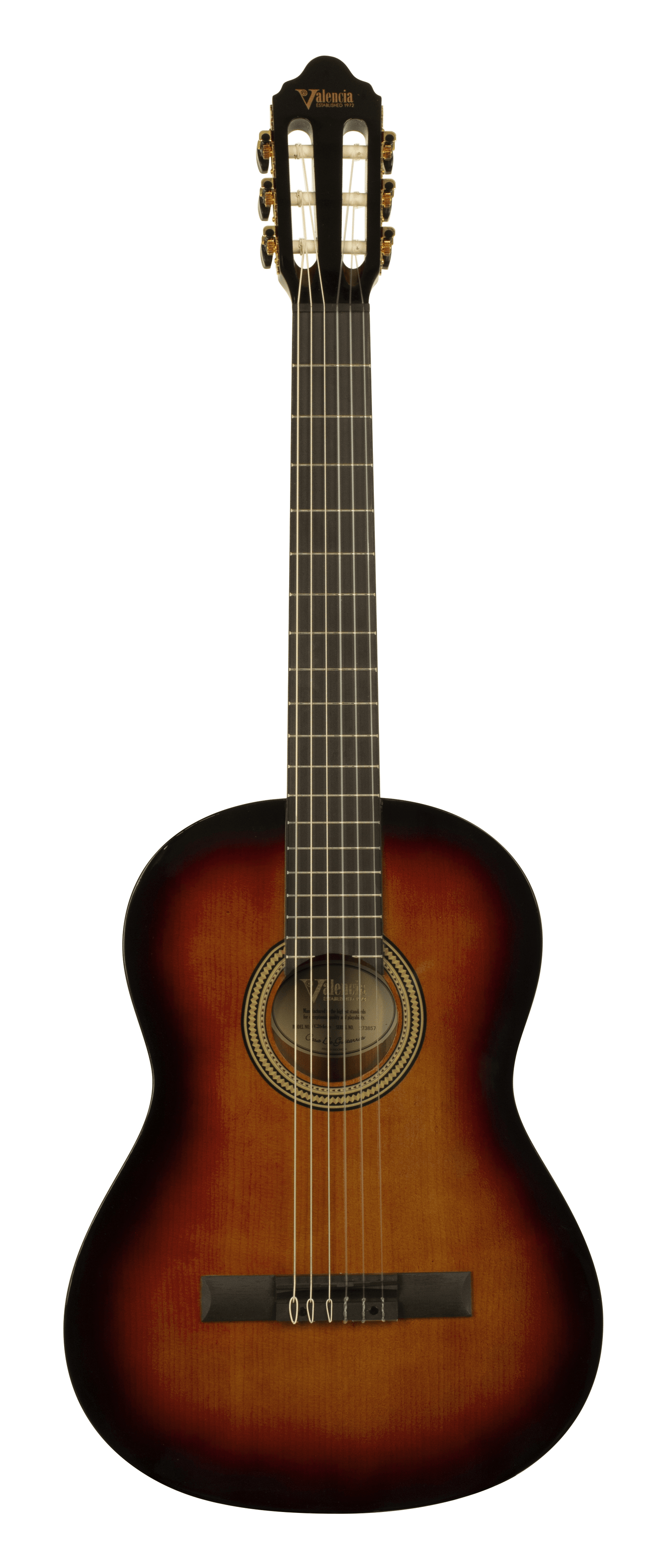 Valencia Guitar 264