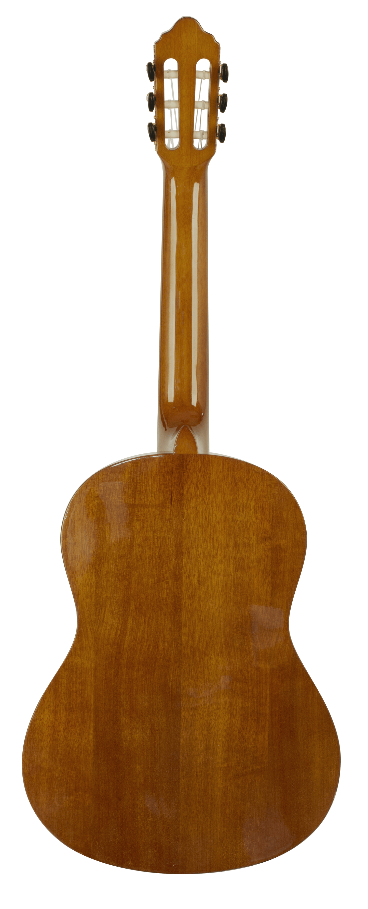 Valencia Guitar 264