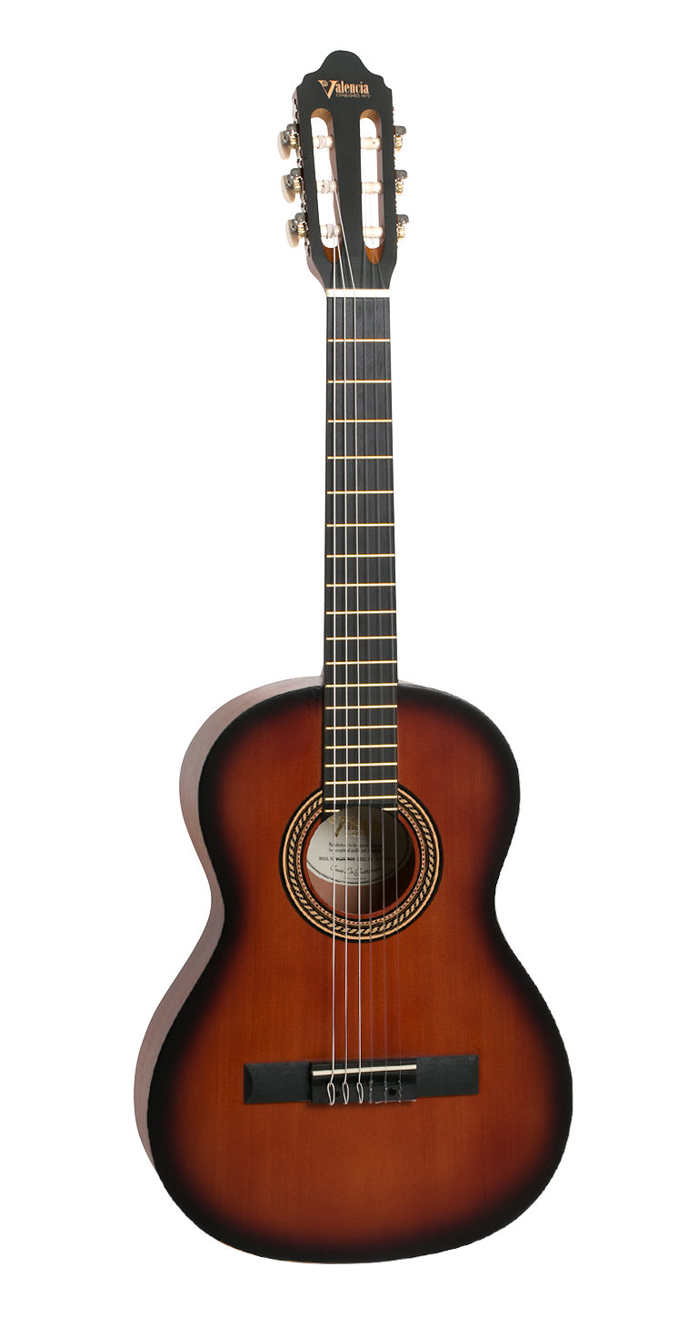Valencia Guitar 203