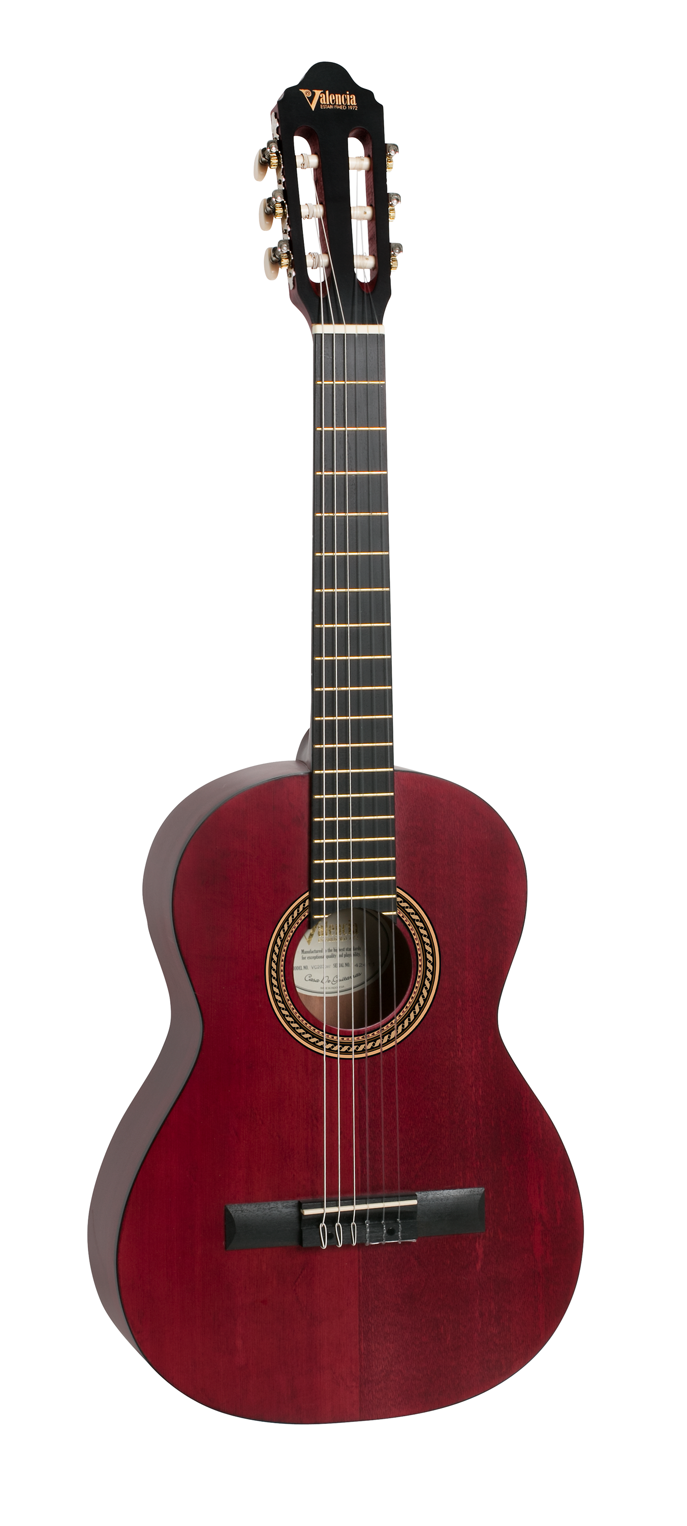 Valencia Guitar 203