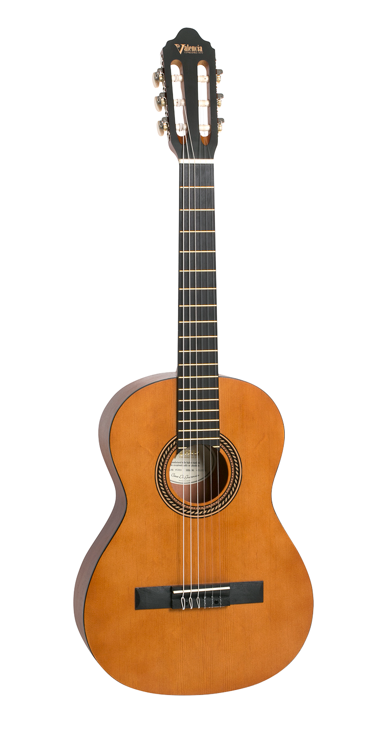 Valencia Guitar 203
