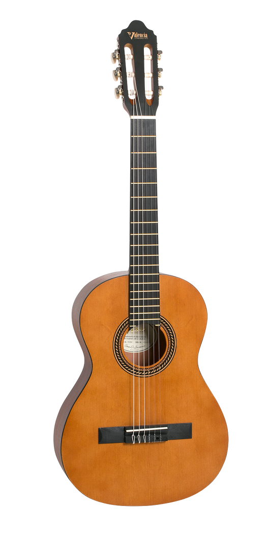 Valencia Guitar 203