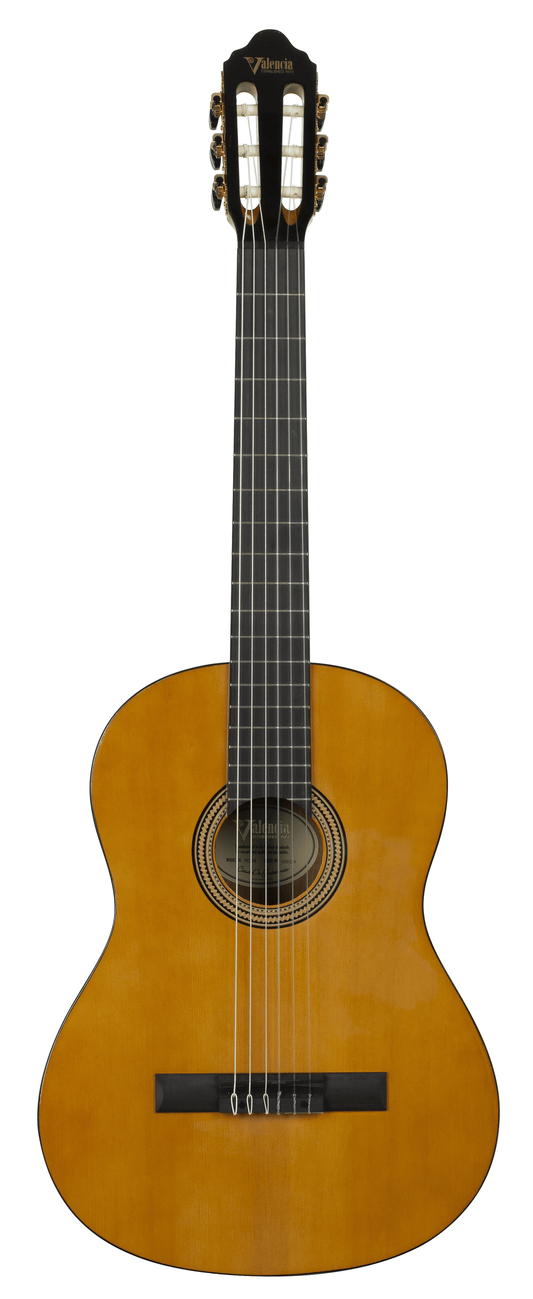 Valencia Guitar 264